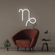 Capricorne