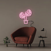 Plante d'intÃ©rieur 1